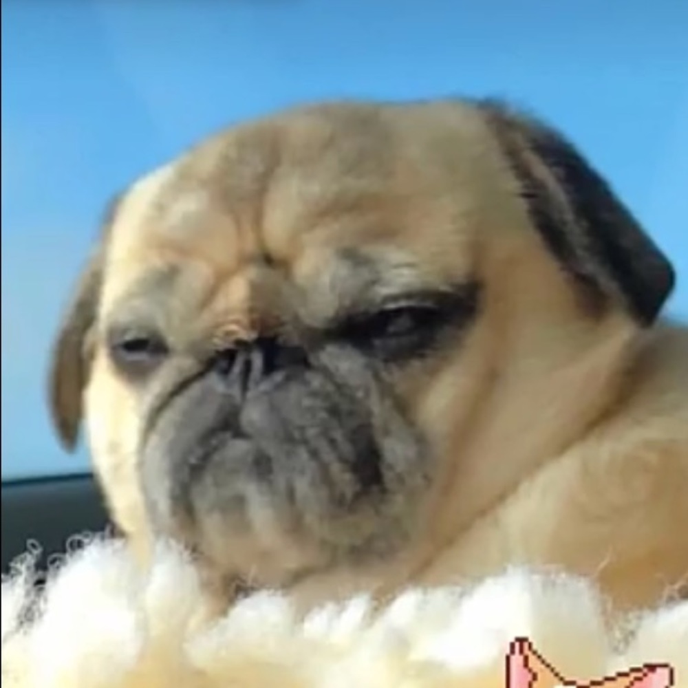 Meet your Posher, Miranda